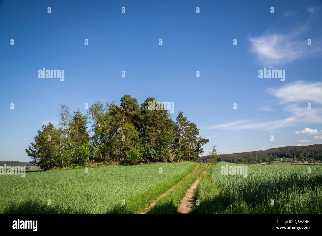 Erlebnisweg Heinrichs, un percorso escursionistico nel campo Waldviertel Foto Stock