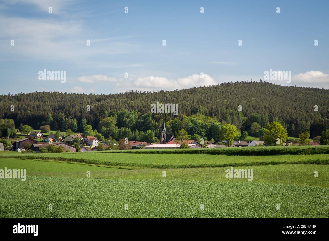 Erlebnisweg Heinrichs, un percorso escursionistico nel Waldviertel - vista su Heinrichs Foto Stock