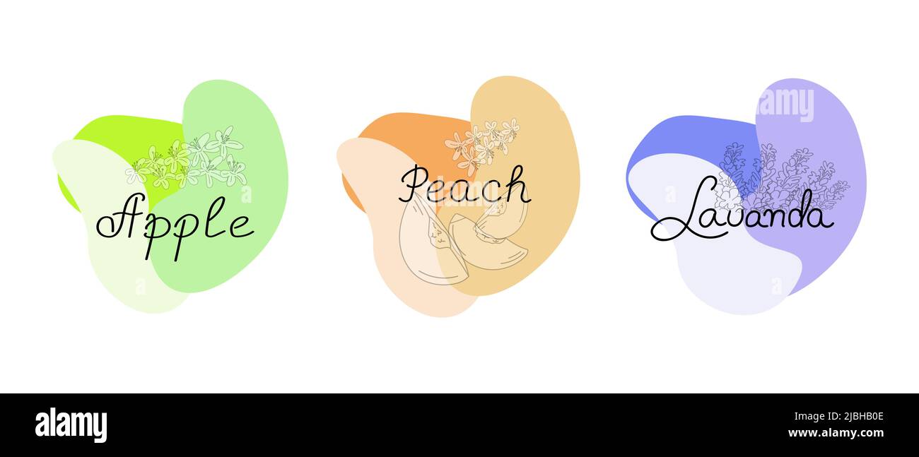 Un insieme di forme astratte con iscrizioni Lavanda, Peach, Apple. Pezzi di pesca, fiori. Illustrazione Vettoriale