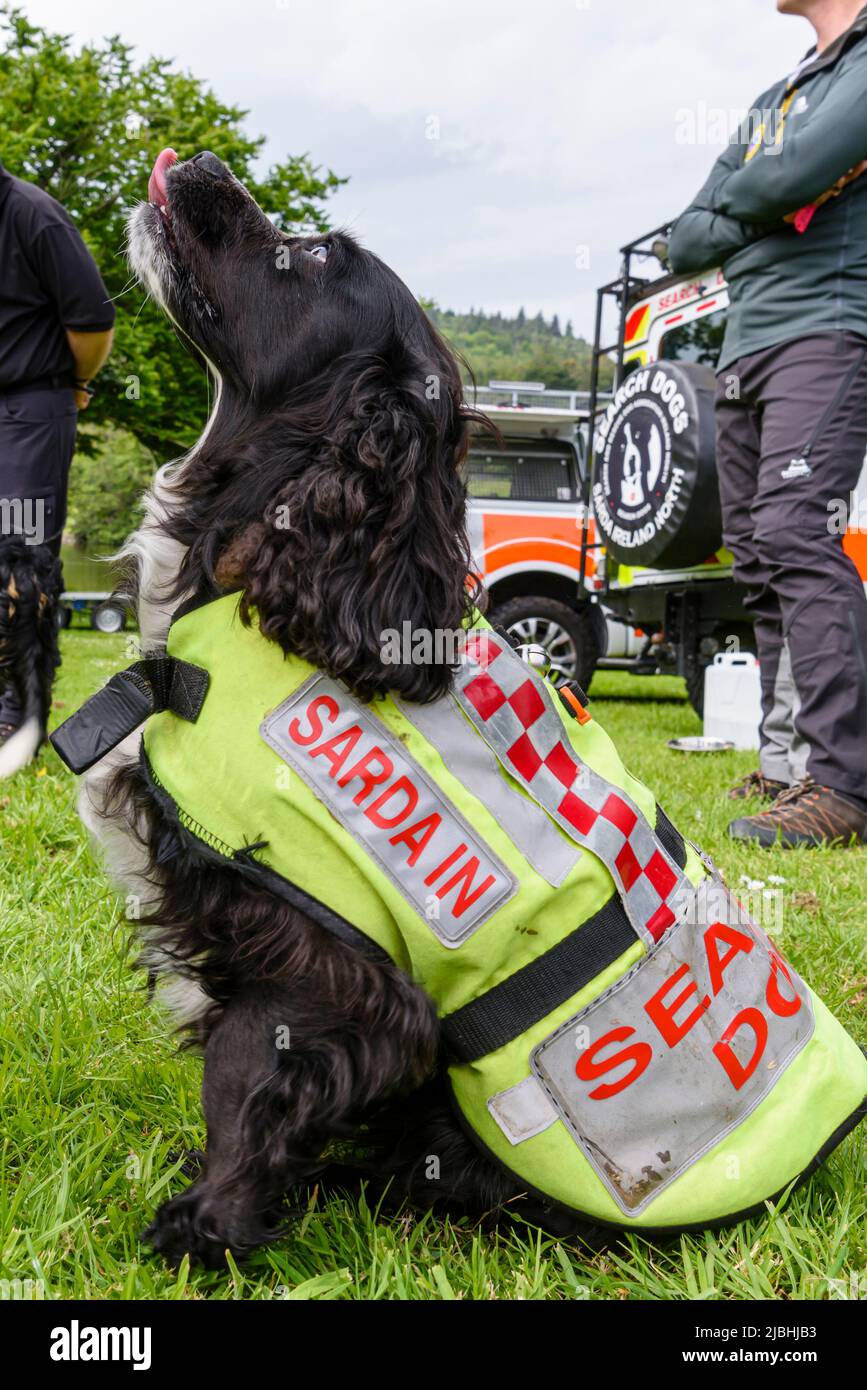 Castlewellan, Irlanda del Nord. 06/06/2022. Il ministro della DAERA Edwin Poots ha visitato Castlewellan Forest Park per vedere un nuovo veicolo 4x4 per il trasporto di cani che assisterà l'associazione di cani di ricerca e salvataggio Irlanda del Nord (SARDA) nell'accesso ai terreni difficili da raggiungere, e ha incontrato un certo numero di cani di ricerca e salvataggio di lavoro. Foto Stock