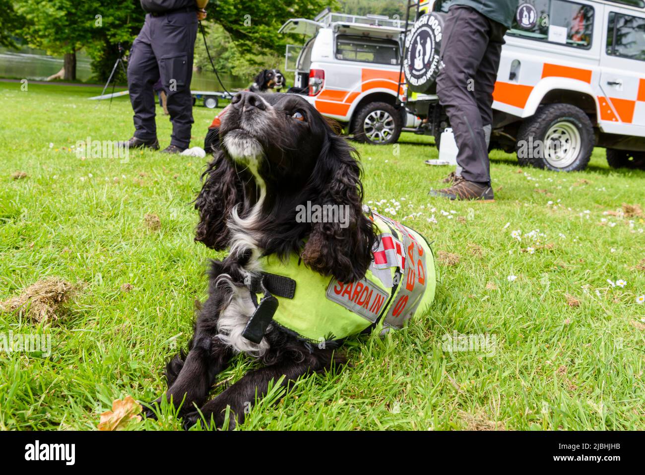 Castlewellan, Irlanda del Nord. 06/06/2022. Il ministro della DAERA Edwin Poots ha visitato Castlewellan Forest Park per vedere un nuovo veicolo 4x4 per il trasporto di cani che assisterà l'associazione di cani di ricerca e salvataggio Irlanda del Nord (SARDA) nell'accesso ai terreni difficili da raggiungere, e ha incontrato un certo numero di cani di ricerca e salvataggio di lavoro. Foto Stock