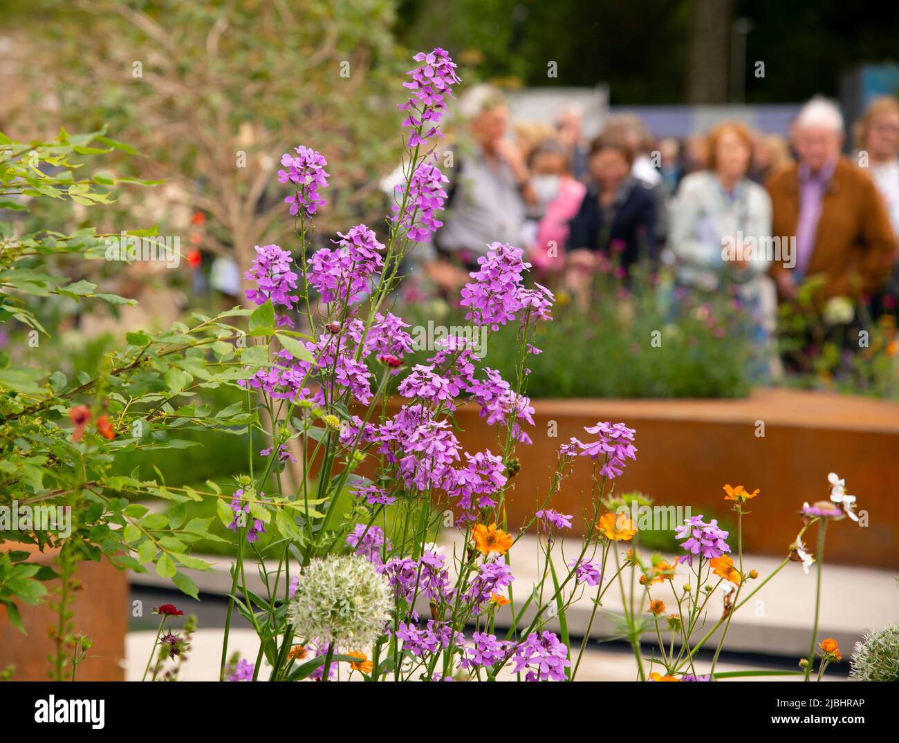 Visitatori del Chelsea Flower Show intorno a piante e alberi nel giardino RHS. Foto Stock