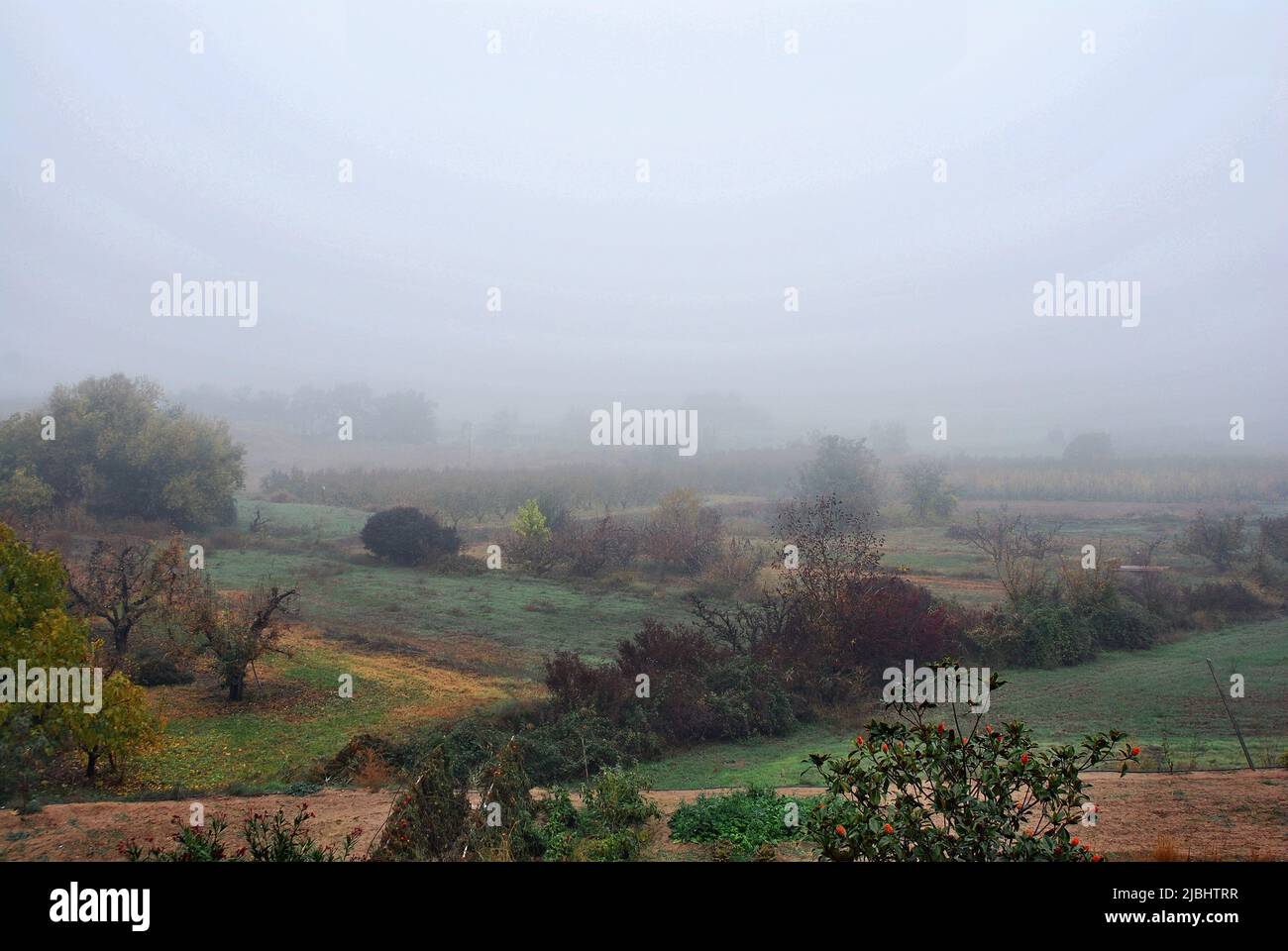 Segrià campi coperti di nebbia in inverno Foto Stock