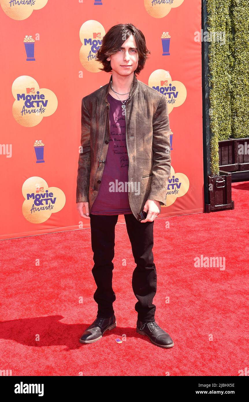 SANTA MONICA, CA - 05 GIUGNO: Aidan Gallagher partecipa ai MTV Movie & TV Awards 2022 al Barker Hangar il 05 giugno 2022 a Santa Monica, California. Foto Stock