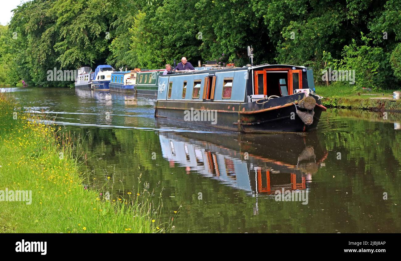 Canal boats e chiatta, navigando sul canale Bridgewater in estate, tra Lymm e Grappenhall, Cheshire, Inghilterra, Regno Unito, WA4 Foto Stock