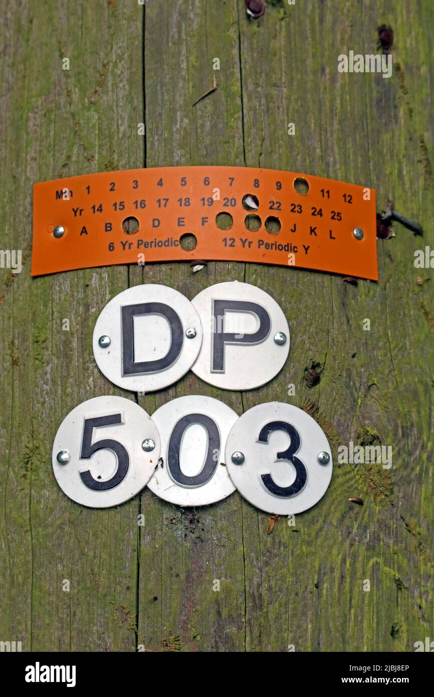BT OpenReach Telegraph Pole, Cliff Ln, Grappenhall, Warrington, Cheshire, Inghilterra, Regno Unito, WA4 2TS - numeri ID per identificare l'apparecchiatura e la manutenzione Foto Stock