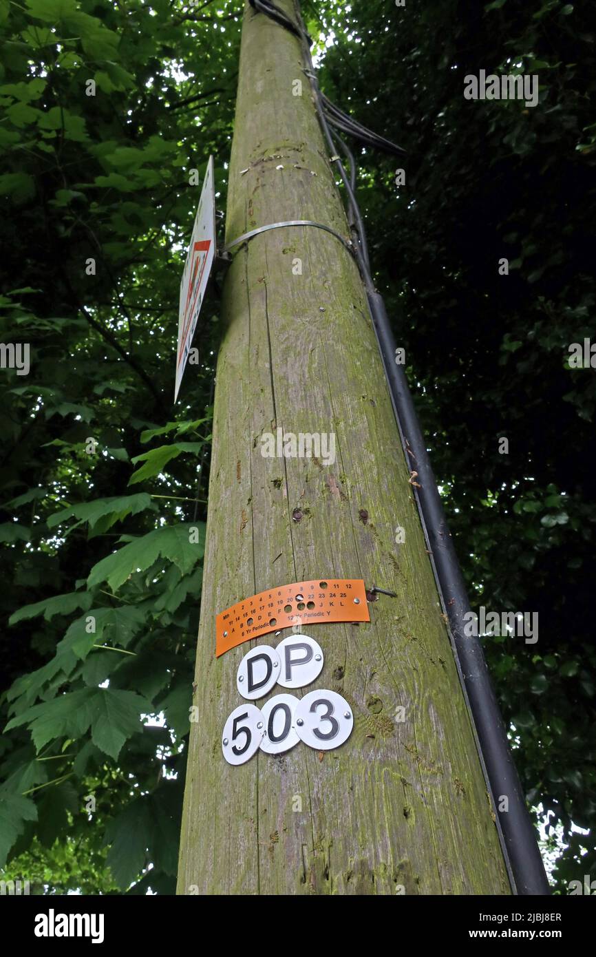 BT OpenReach Telegraph Pole, Cliff Ln, Grappenhall, Warrington, Cheshire, Inghilterra, Regno Unito, WA4 2TS - numeri ID per identificare l'apparecchiatura e la manutenzione Foto Stock