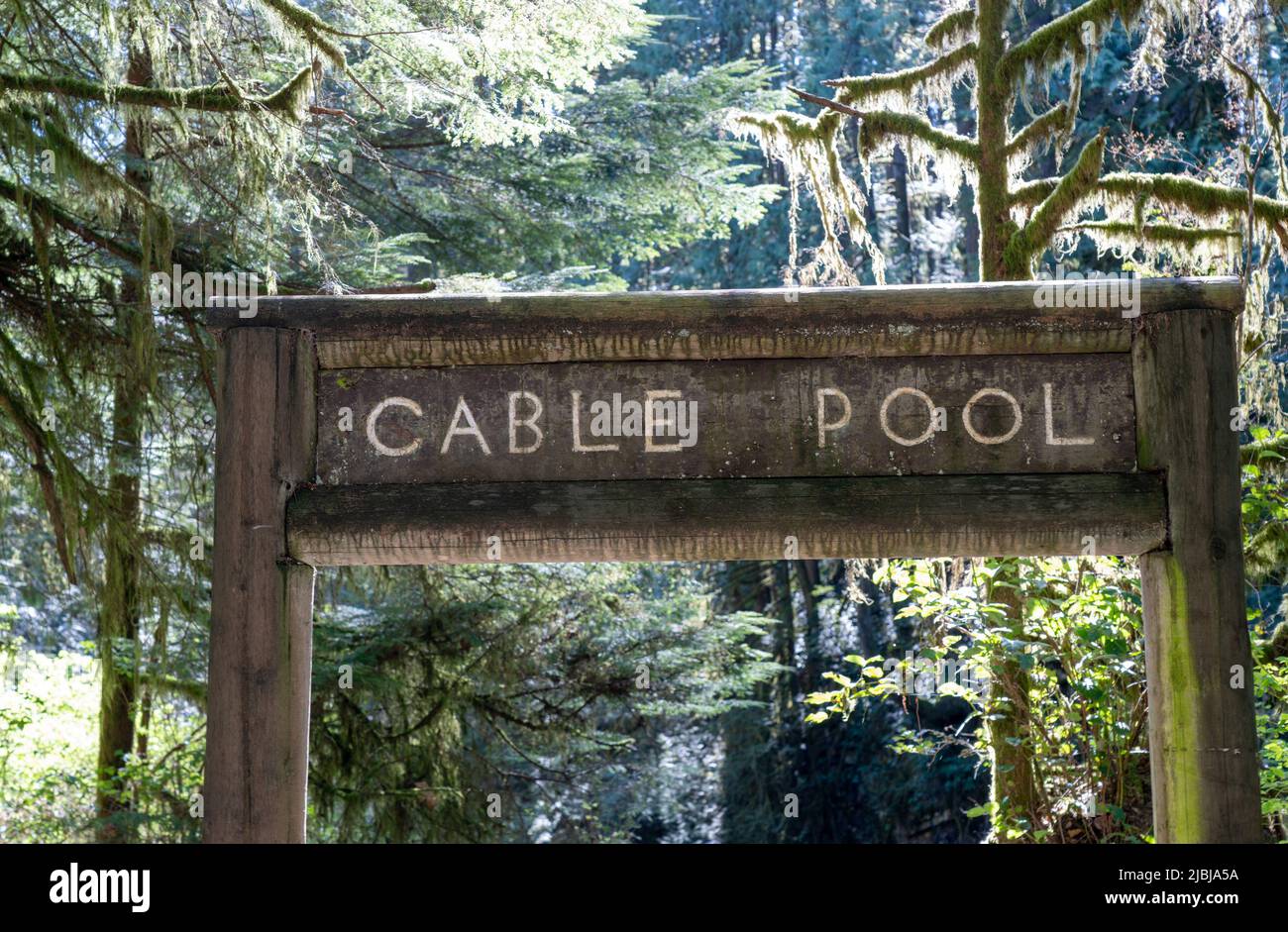 Ponte della piscina via cavo. Parco Regionale del fiume Capilano. North Vancouver, British Columbia, Canada. Foto Stock