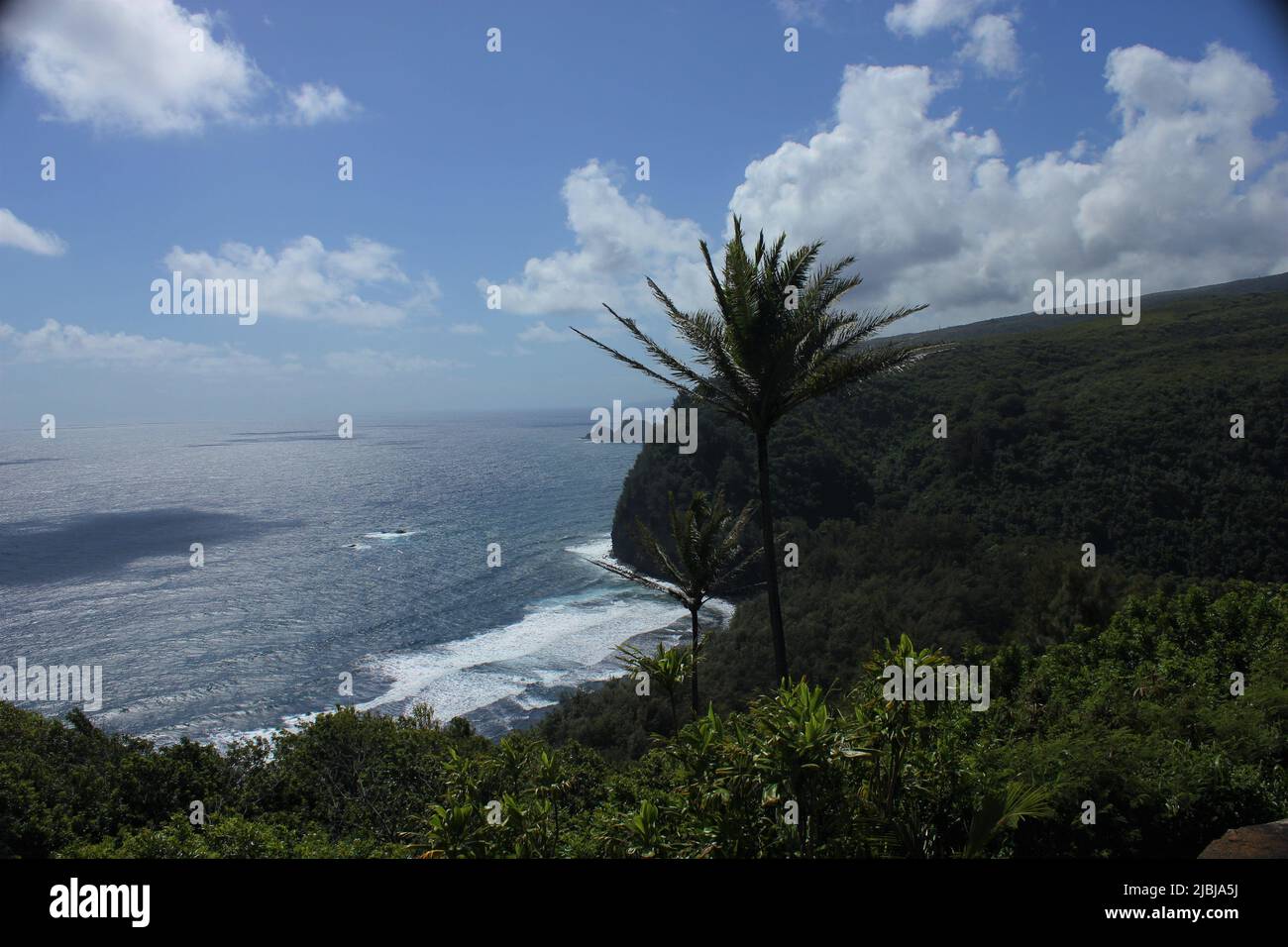 Affacciato sul surf da Hawai'i Hawaii, la Big Island Foto Stock