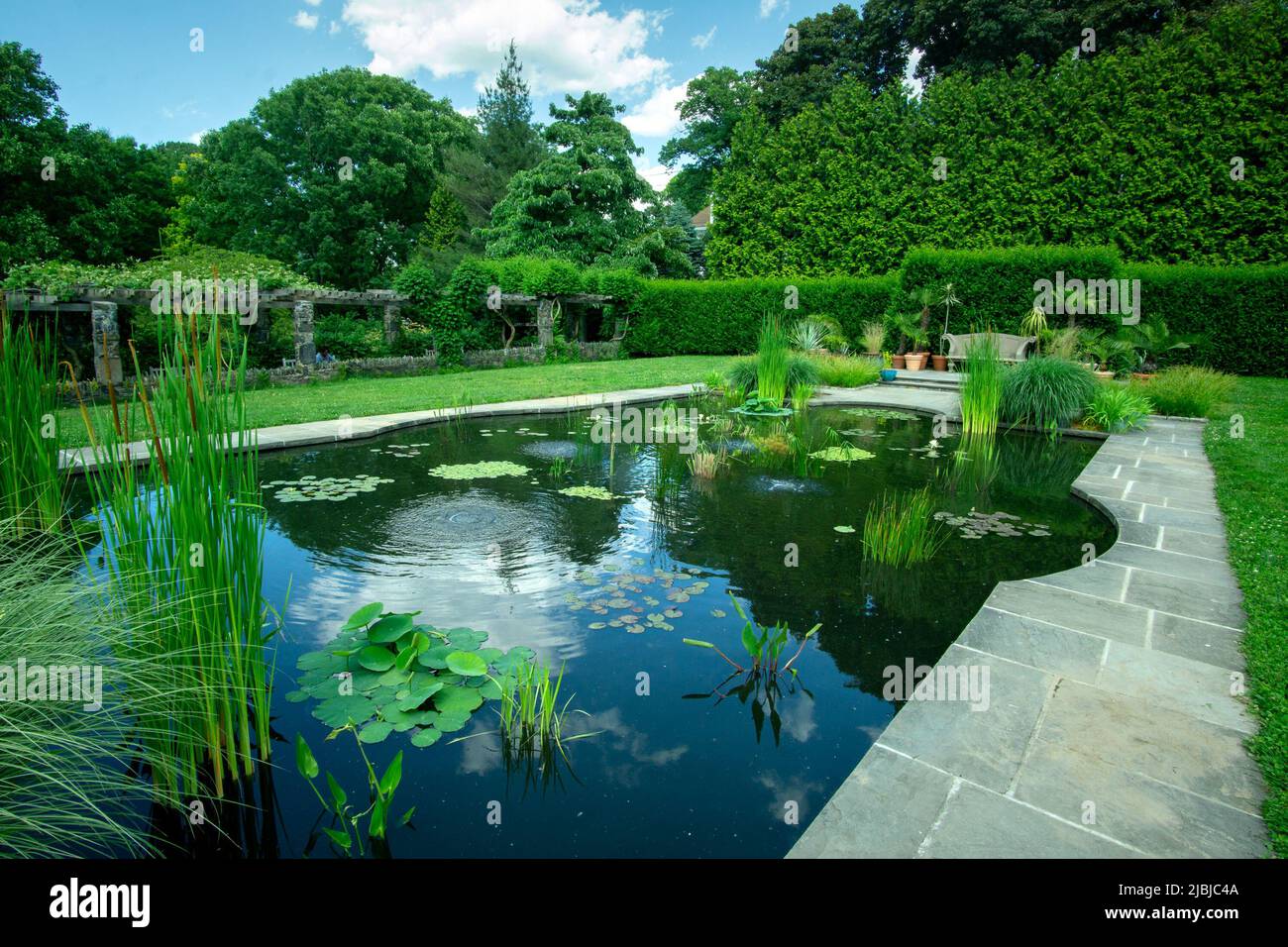 Bronx, NY - USA - 4 giugno 2022 una vista del giardino acquatico a Wave Hill. Una piscina riflettente con piante acquatiche, siepi e pergolas. Wave Hill è un Foto Stock