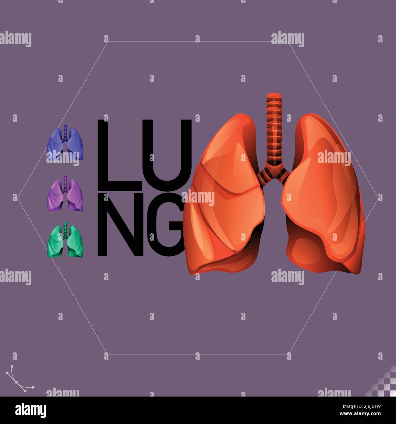 Moderno bello stilizzato monotono umano polmone simboli e icone di organo - parte di un insieme Illustrazione Vettoriale