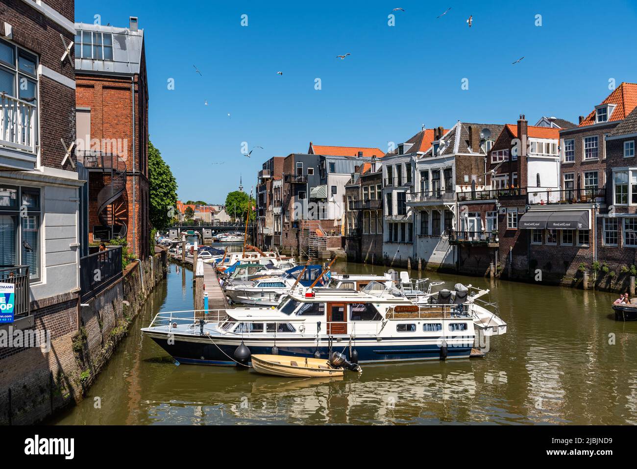 Dordrecht, Paesi Bassi - 8 maggio 2022: Vista panoramica del centro storico di Dordrecht, Paesi Bassi occidentali. Canale con vasi Foto Stock