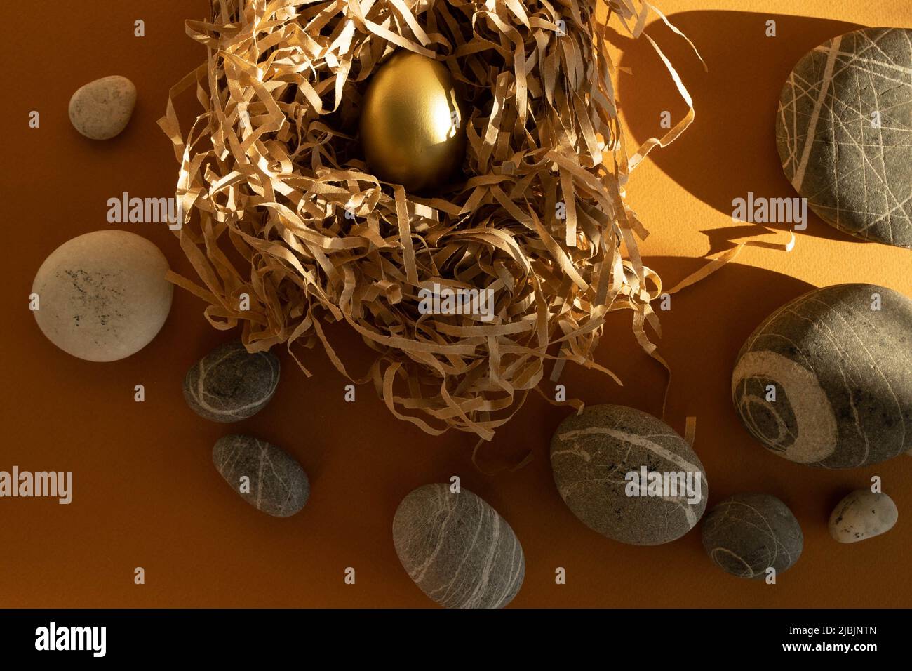 Un uovo d'oro in un nido fatto di carta da imballaggio . Il concetto di prosperità , investimento , profitto , crescita degli investimenti finanziari . Foto Stock