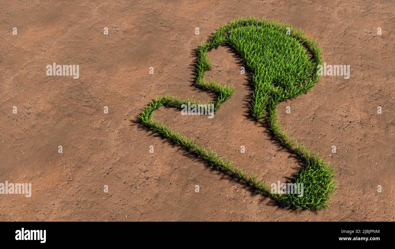 Concetto concettuale verde estate prato erba simbolo forma sul suolo marrone o sfondo terra, immagine del cervello umano. Una metafora di illustrazione del 3D per la scienza Foto Stock