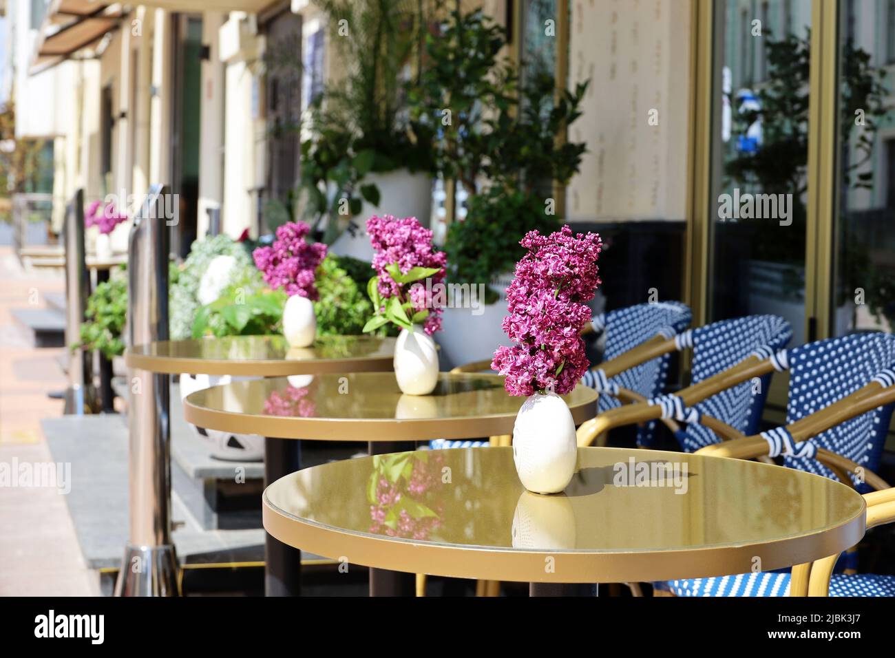 Street cafe con tavoli vuoti all'aperto, città estiva. Vasi di fiori di lilla su tavoli rotondi e sedie accoglienti Foto Stock