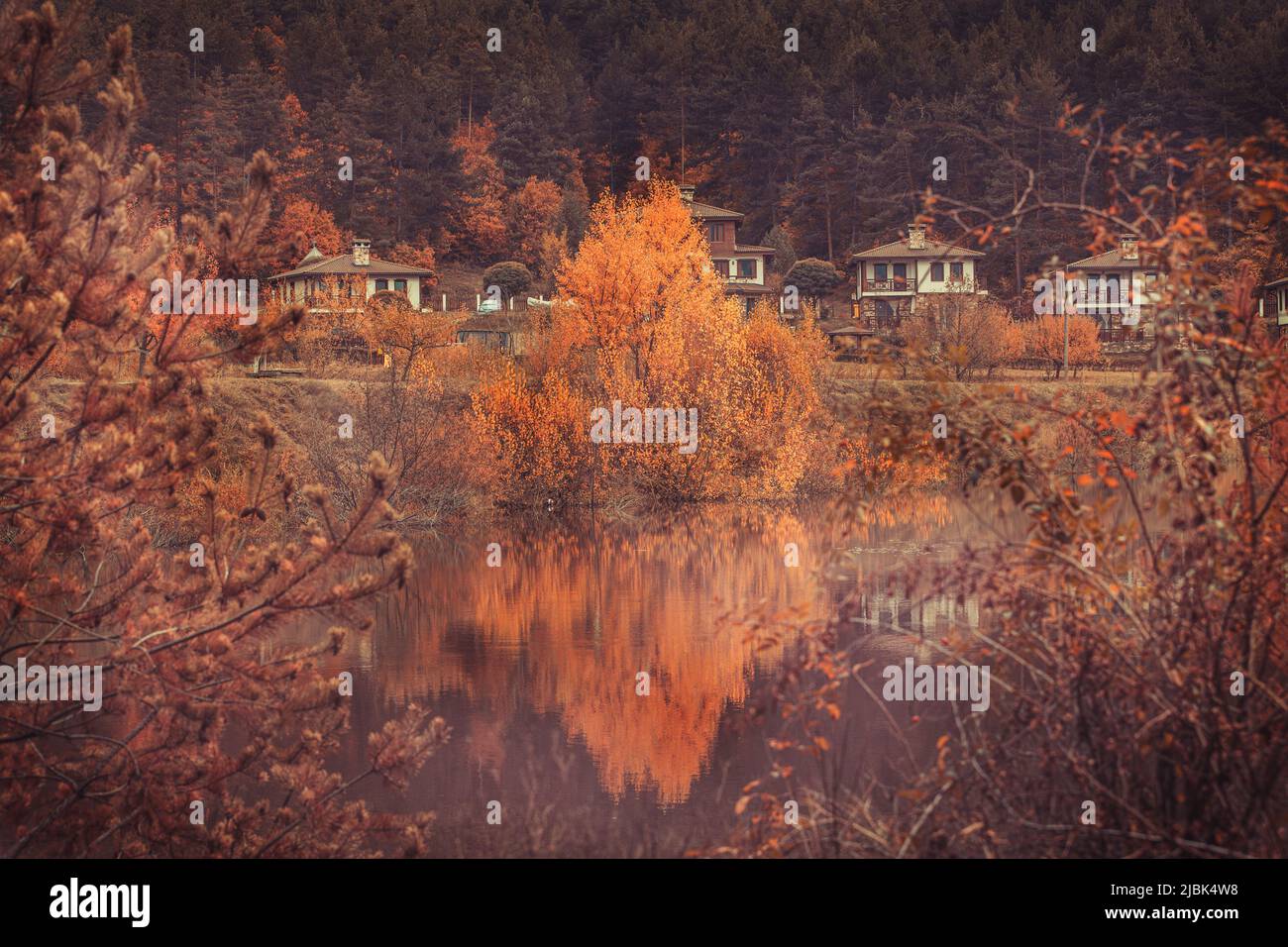 Paesaggio autunnale con lago e case, colori arancio, rosa anca, Bulgaria Foto Stock