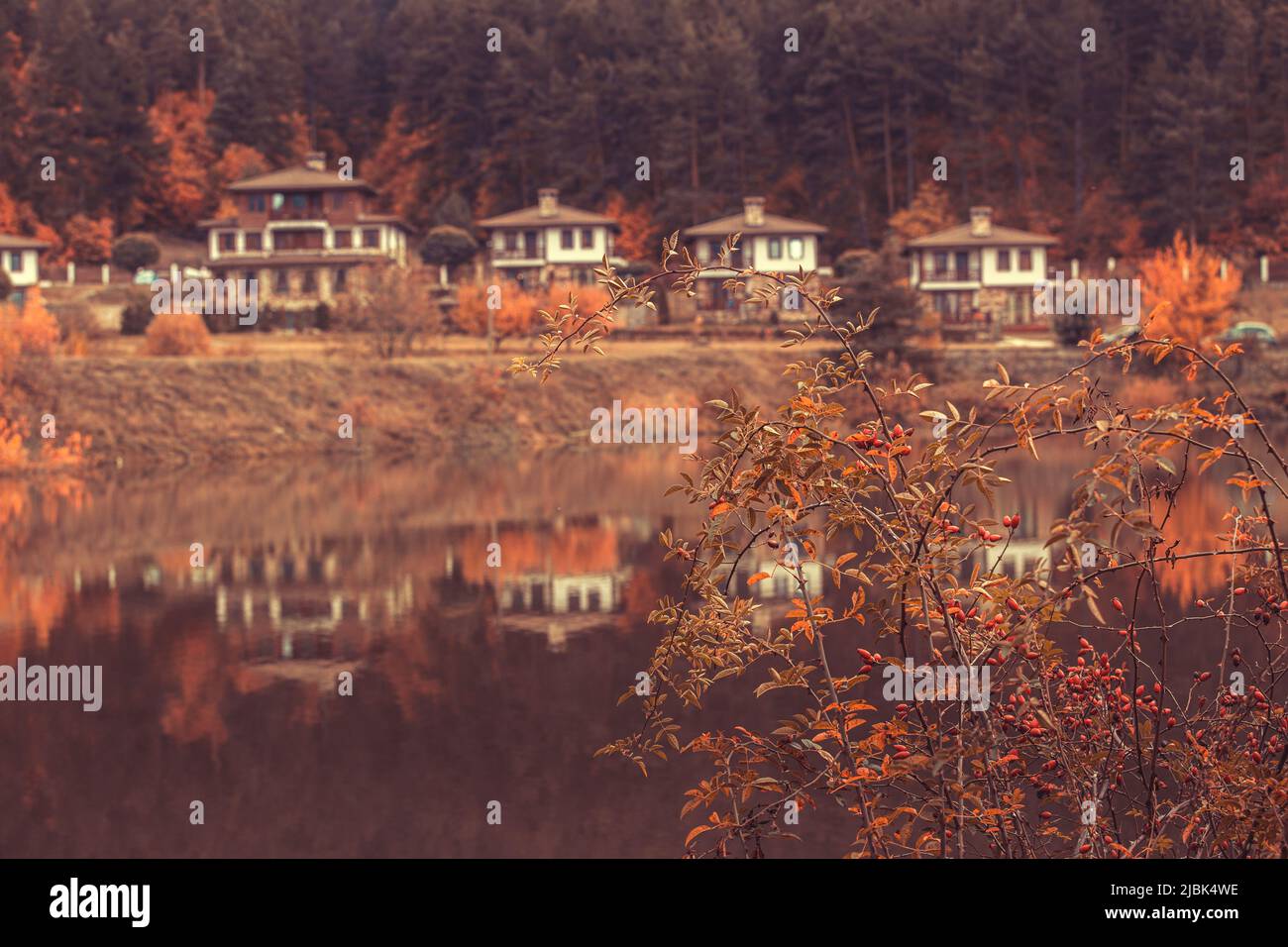 Paesaggio autunnale con lago e case, colori arancio, rosa anca, Bulgaria Foto Stock
