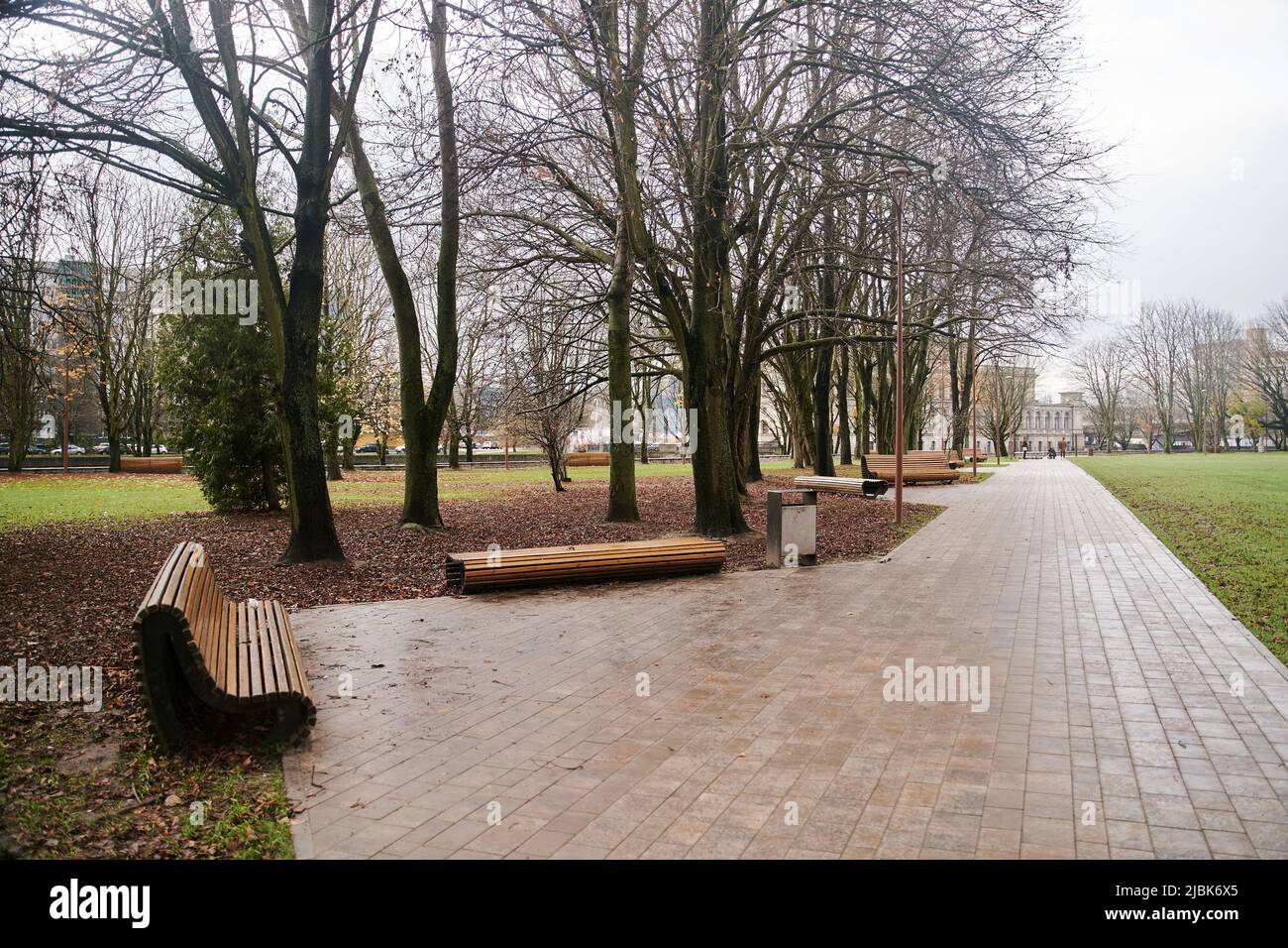 Parco pubblico nel centro della città. Moderne panchine di legno accanto al passaggio pedonale Foto Stock