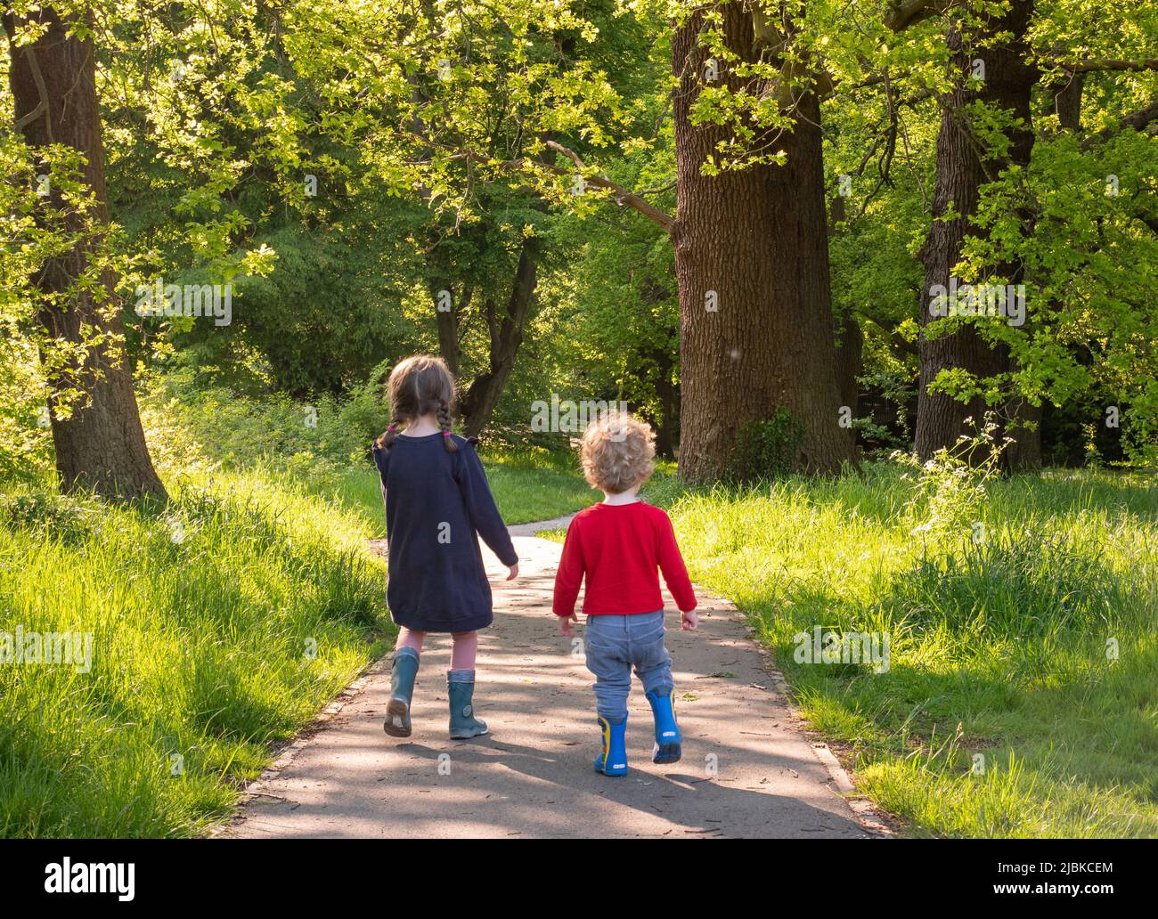 Due bambini, una sorella grande e il suo fratellino, camminando insieme all'aperto nel parco, campi collinari, Enfield, Londra, Regno Unito Foto Stock