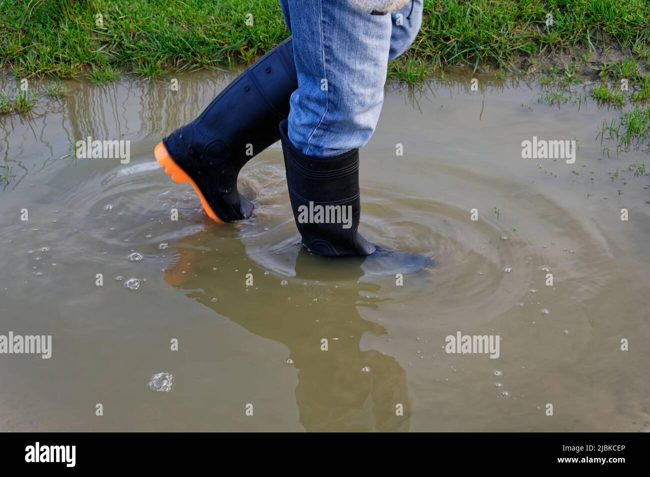 I gommini mantengono i piedi asciutti mentre camminano attraverso le pozze grandi Foto Stock