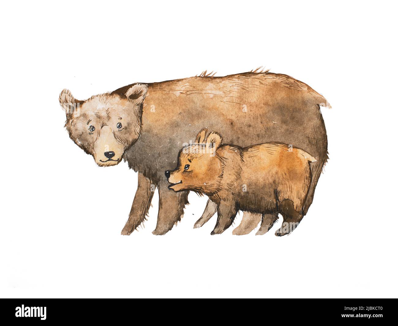 Orso bruno con un bambino disegnato con tecnica acquerello. Foto Stock