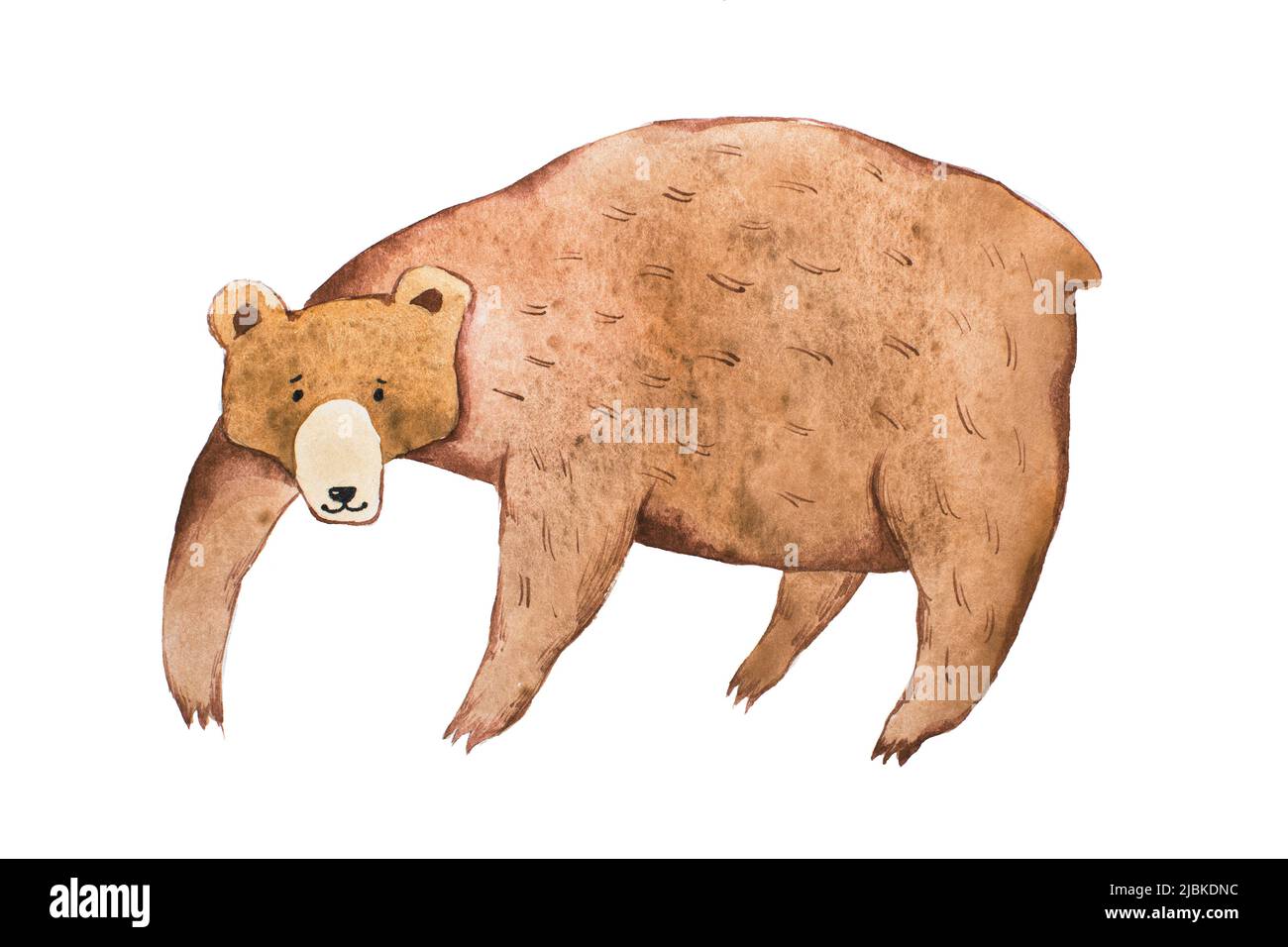 Orso marrone disegnato con tecnica acquerello illusione acquarelle. Foto Stock