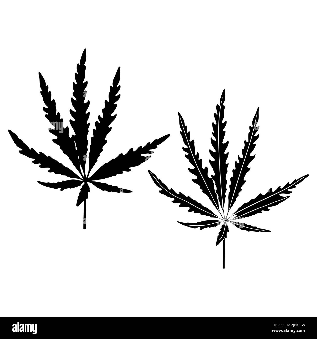 Marijuana o foglia di cannabis silhouette isolato set. Silhouette nera di foglie di marijuana o cannabis a base di erbe su sfondo bianco. Illustrazione vettoriale. Illustrazione Vettoriale