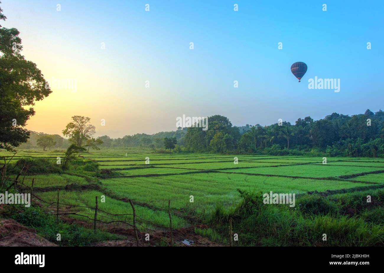 Mattina Vibes Foto Stock