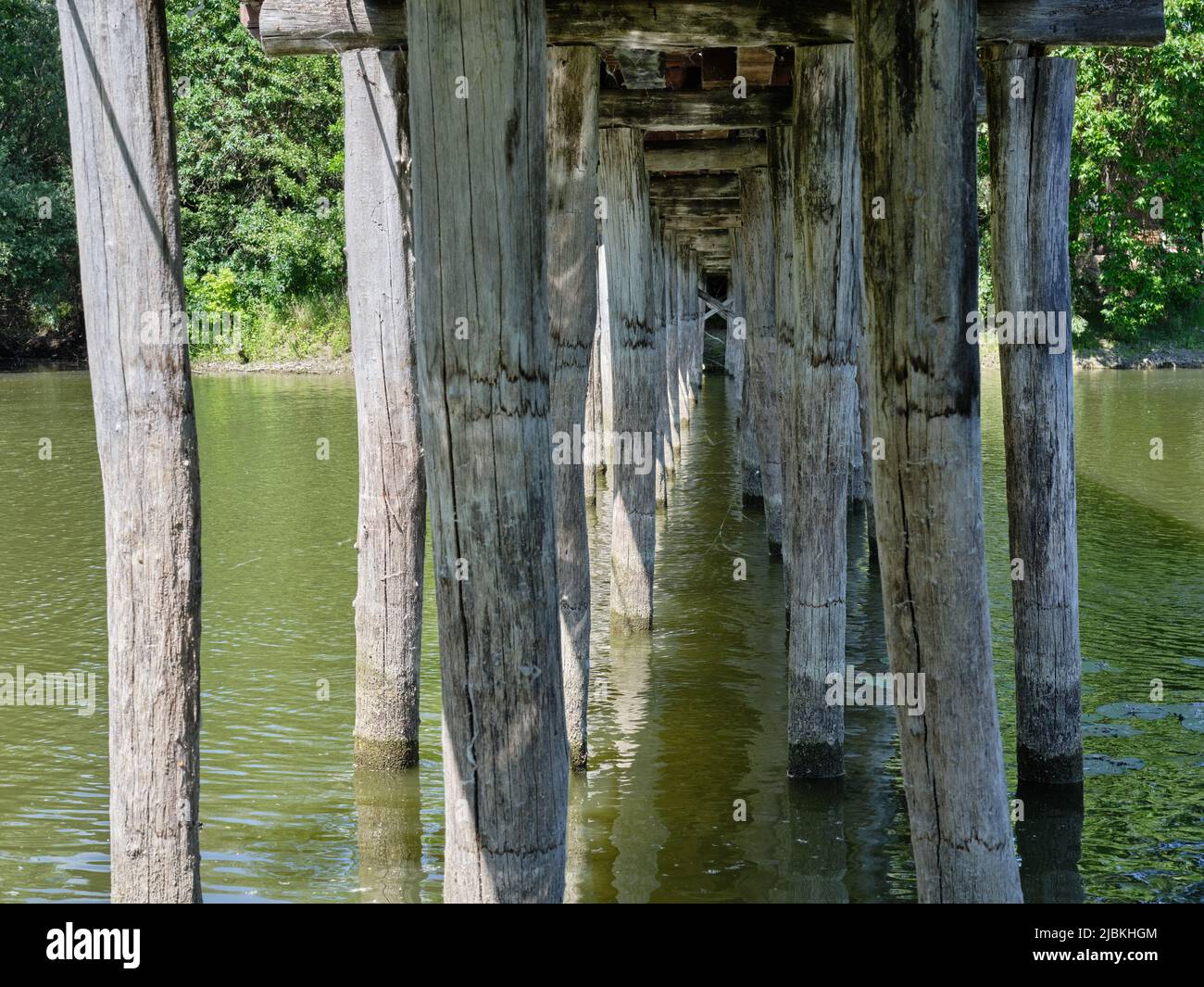 Colonne in legno intemperie che sostengono un ponte su un fiume, formando un rustico schema architettonico. Foto Stock