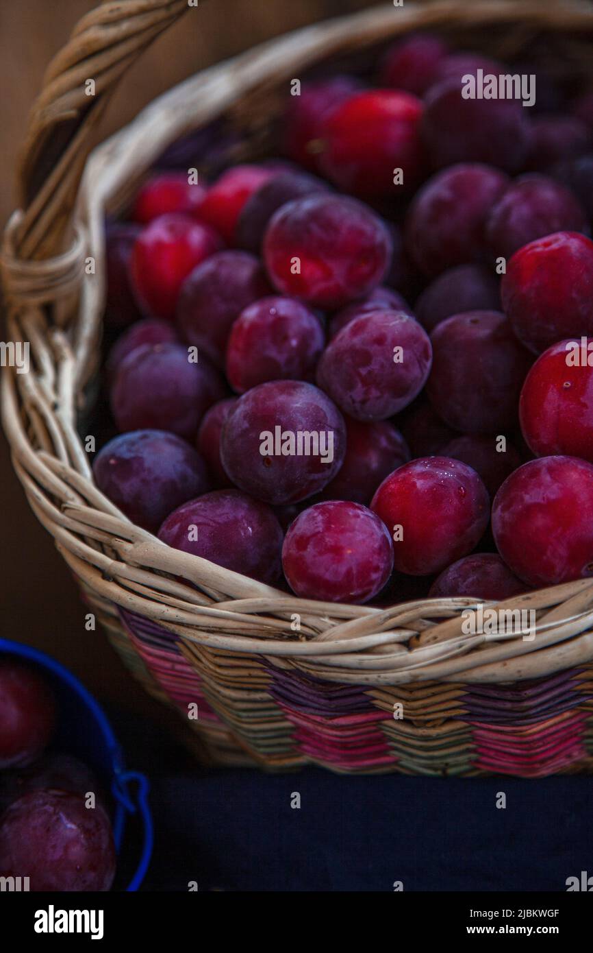 Prugna in un cestino. Raccolta di frutta. Prugne viola mature. Primo piano con cibo estivo. Foto Stock
