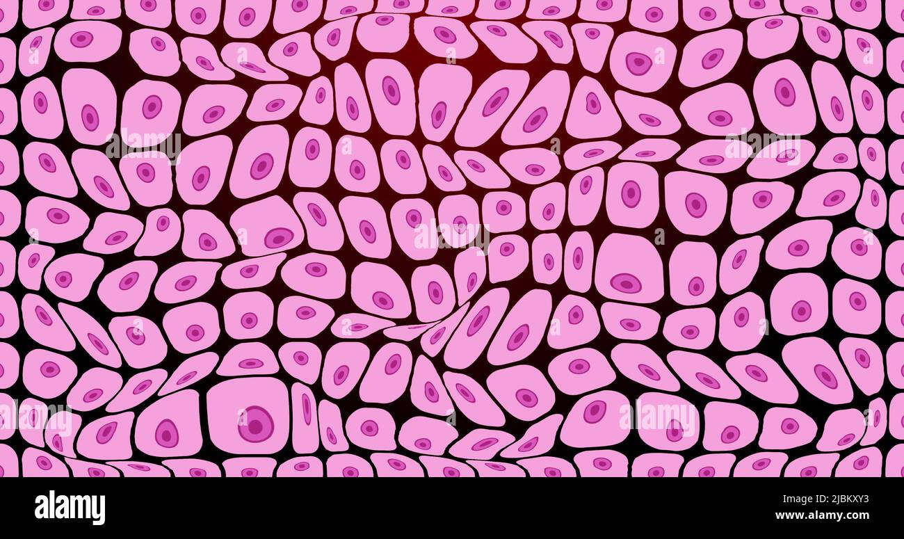 Immagine delle celle rosa che si muovono su sfondo nero Foto Stock