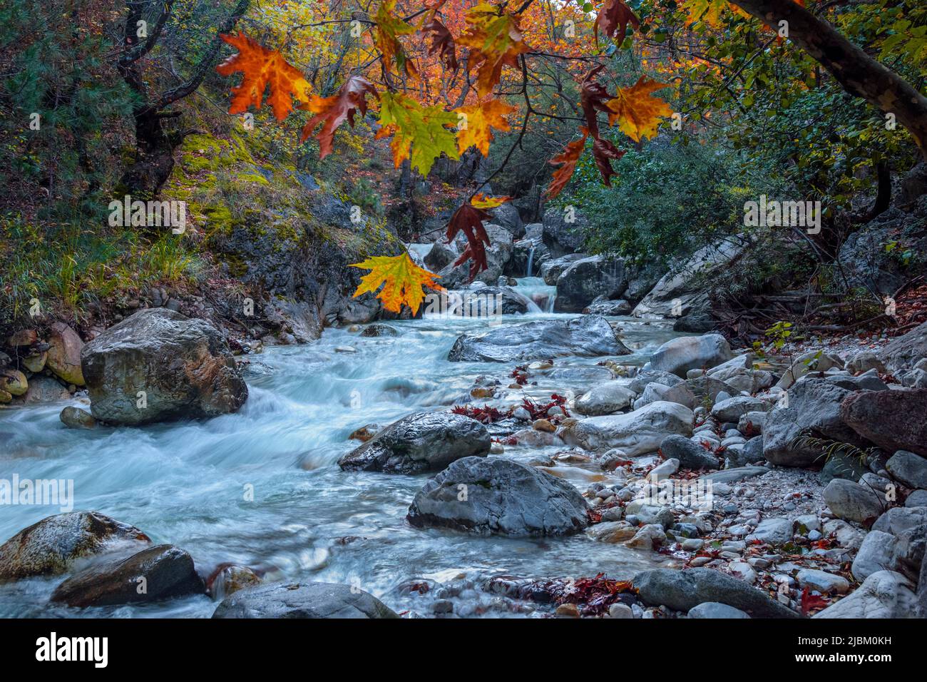 Paesaggio autunnale! Alberi colorati e bella cascata in profonda foresta d'oro, Grecia, Aridea Foto Stock