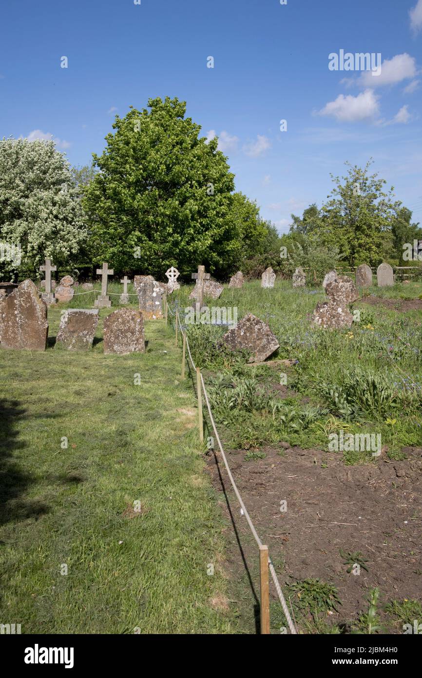 Contrasto tra aree tagliate e non tagliate con wi.ldflowers nel cortile della chiesa parrocchiale di Oxhill Warwickshire Regno Unito Foto Stock