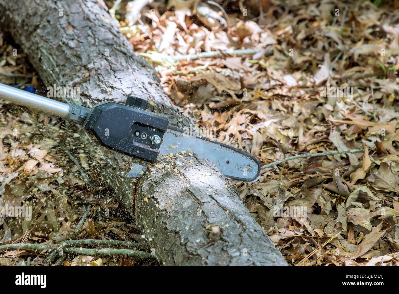 Il lavoratore municipale stava usando una motosega che tagliava l'albero Foto Stock