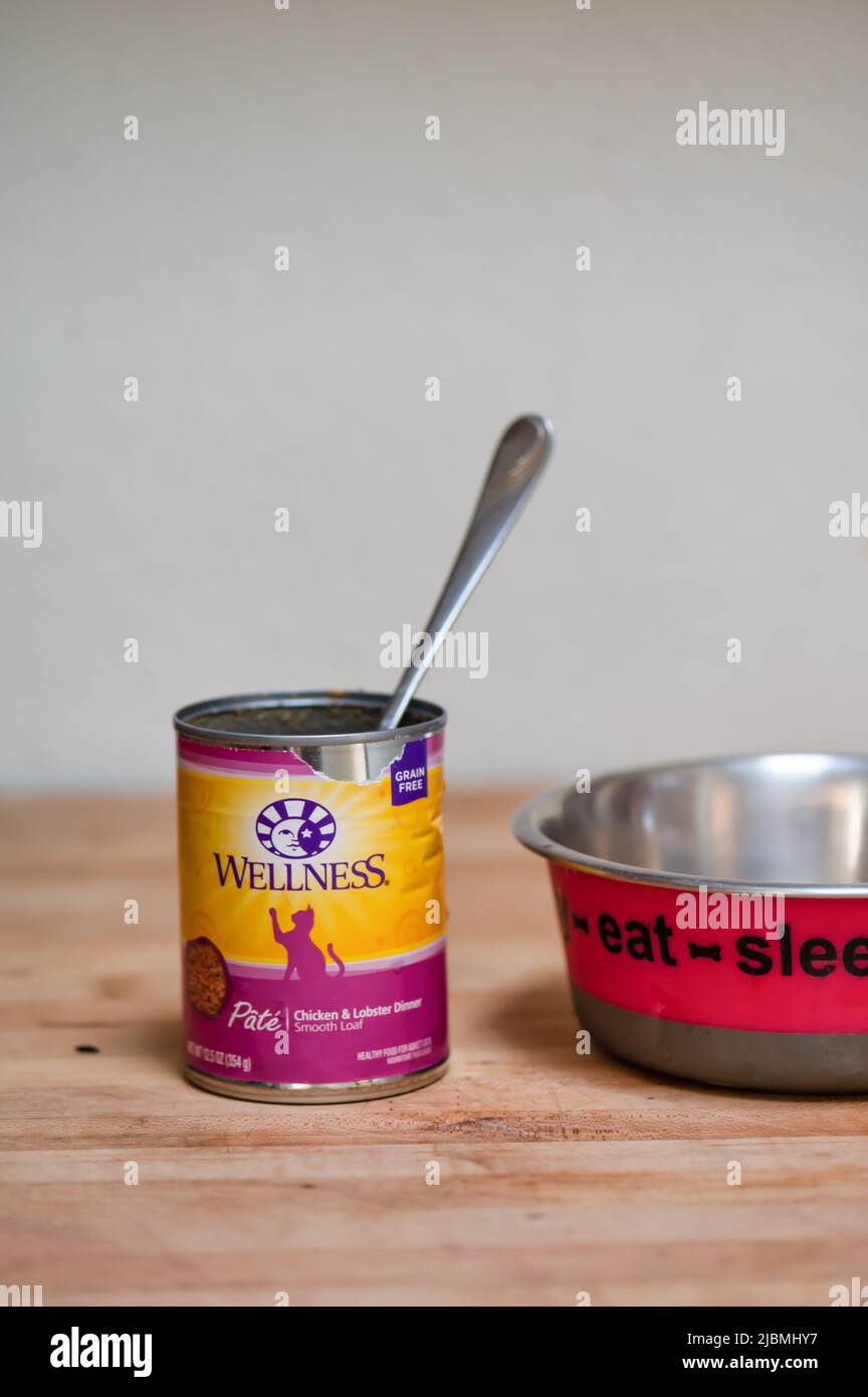 Lattina di cibo gatto marca Wellness e ciotola di metallo su banco di legno. Foto Stock