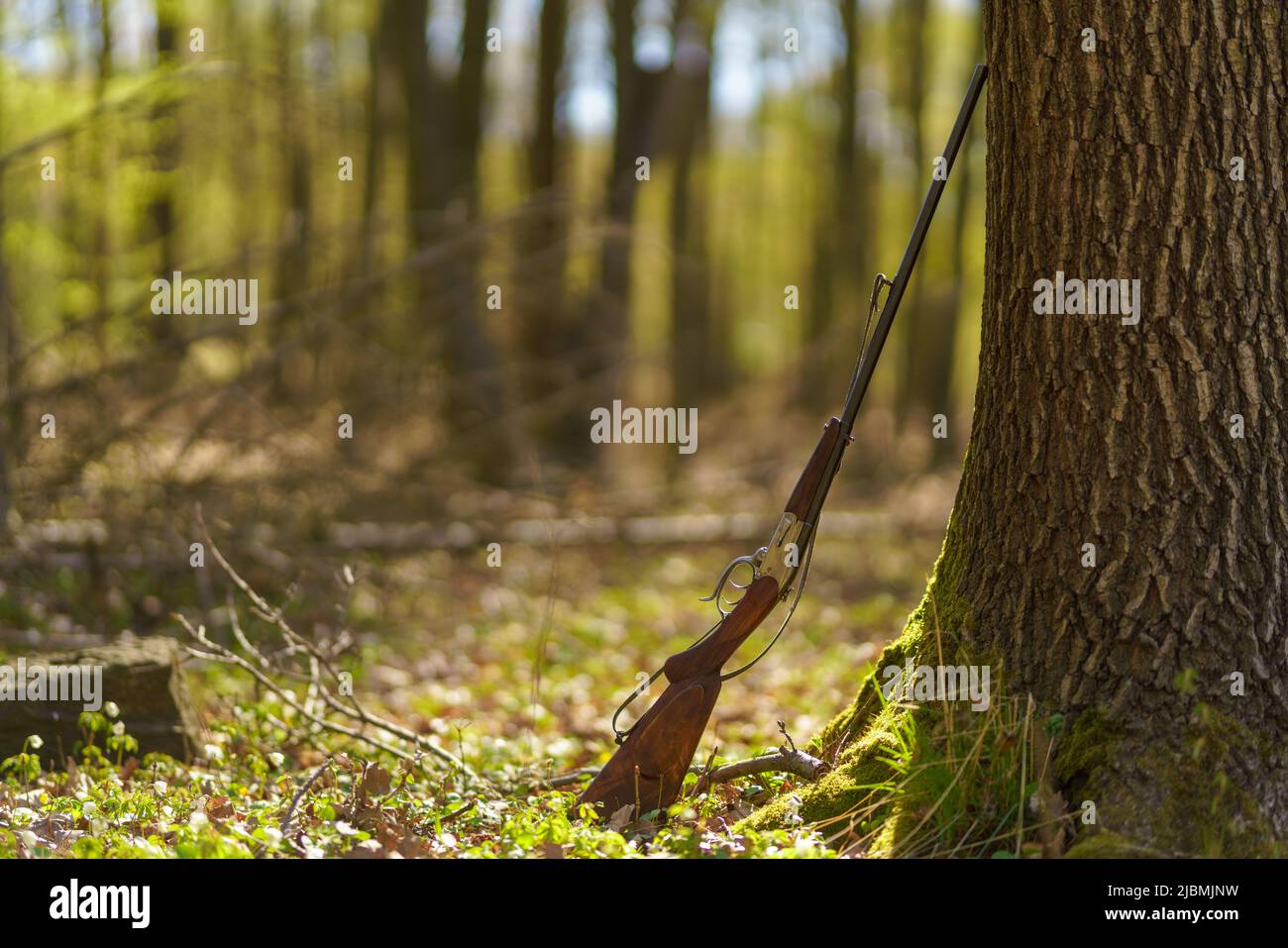 Fucile da caccia vicino albero nella foresta. Foto Stock