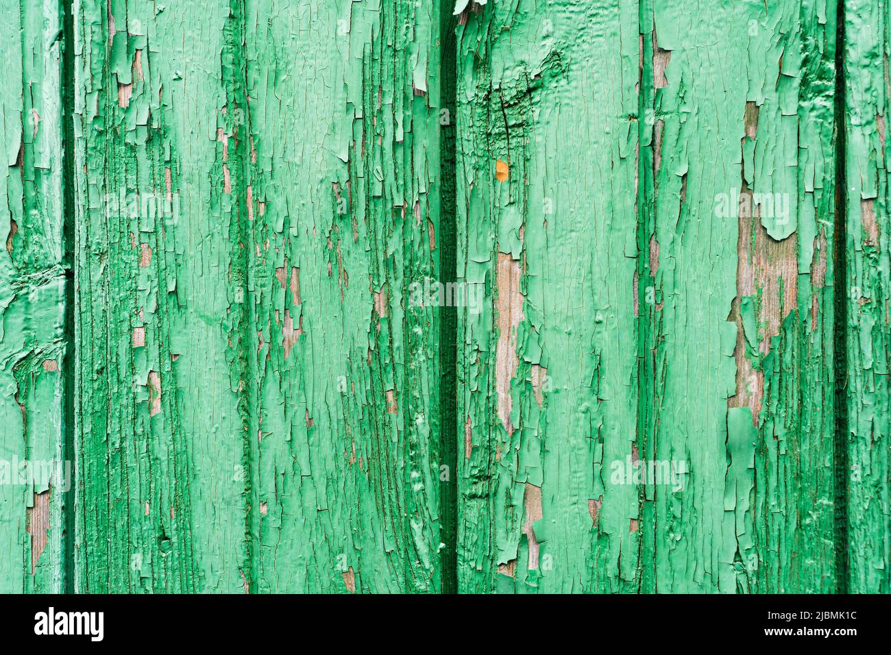 Vecchie tavole di legno con cracking peeling vernice verde. Sfondo texture dipinto. Sfondo rustico Foto Stock