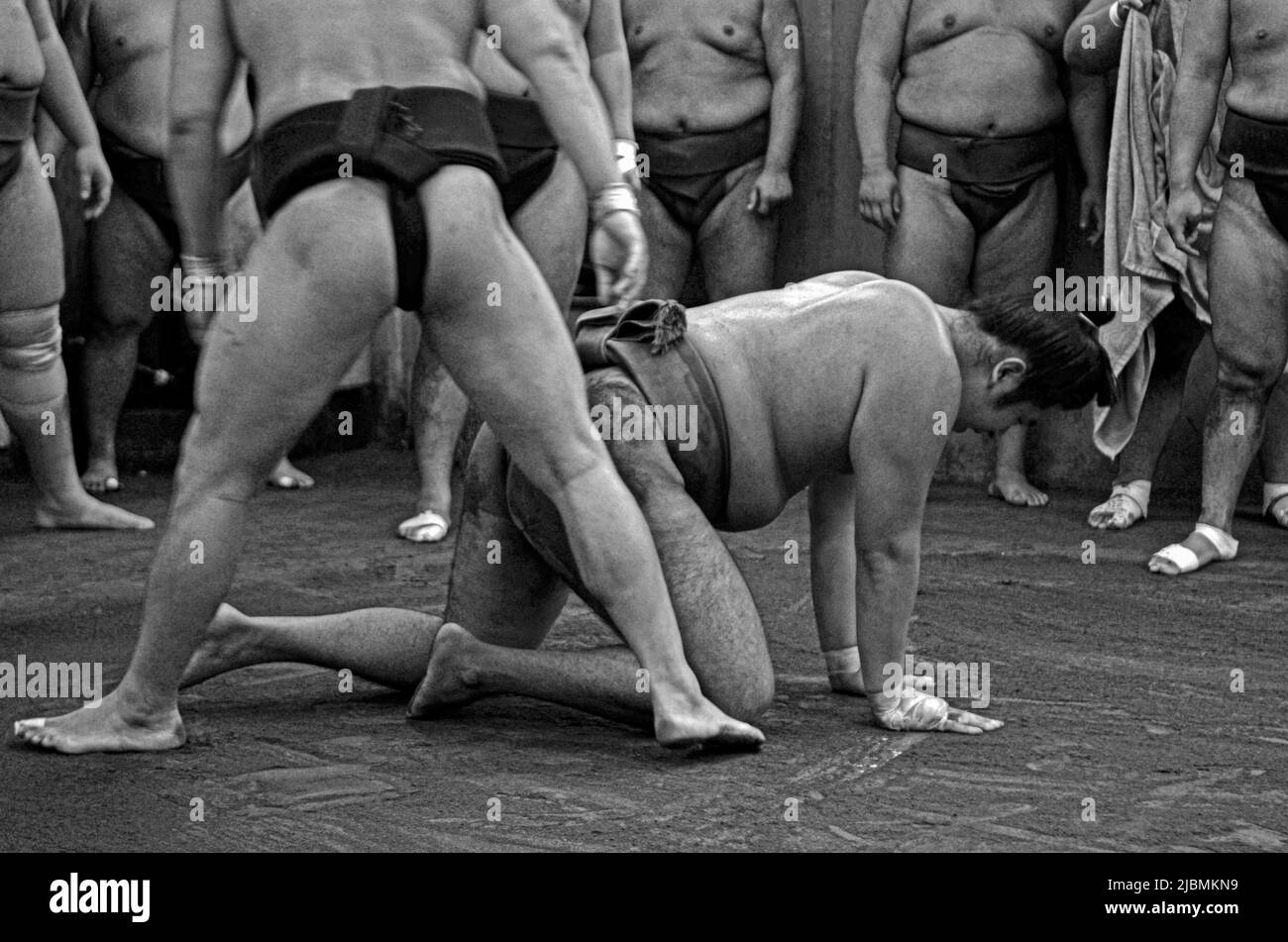 Duro allenamento mattutino al Sumo Stable, Ryogoku, Tokyo Foto Stock