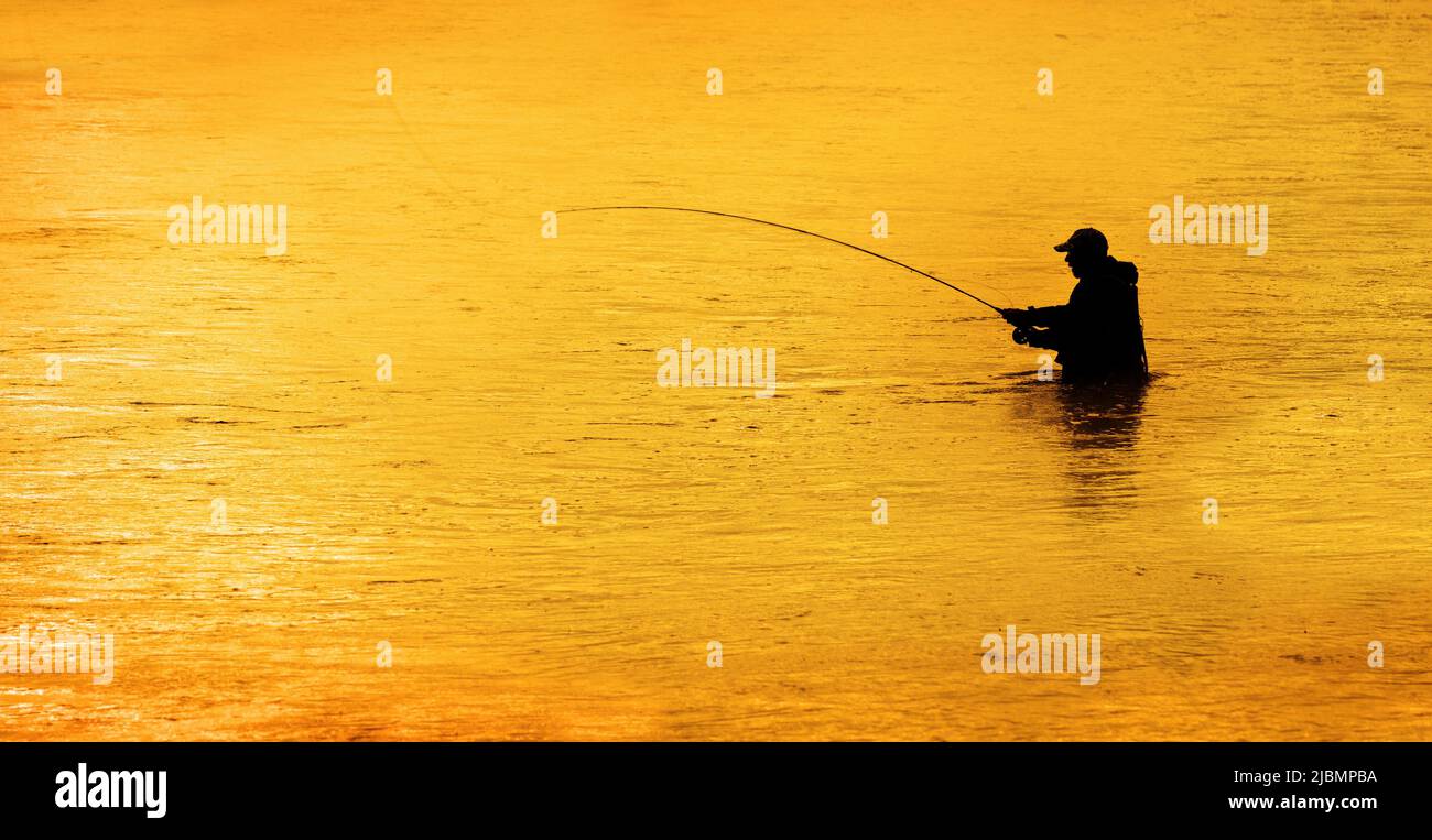 Silhouette di Man Flyfishing pesca in fiume luce dorata di mattina presto con nebbia Foto Stock