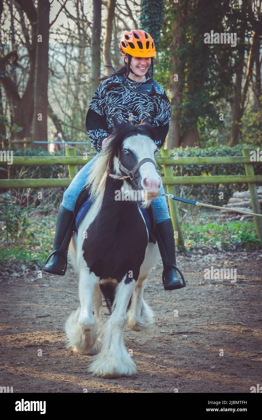 Una ragazza adolescente ridendo e sorridendo, cavalcando un pony di cavallo di boa di guanciale zingaro Foto Stock