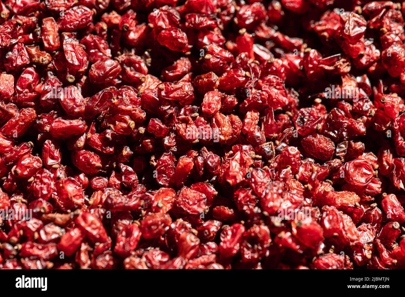 Macroscopa di mirtilli rossi Foto Stock