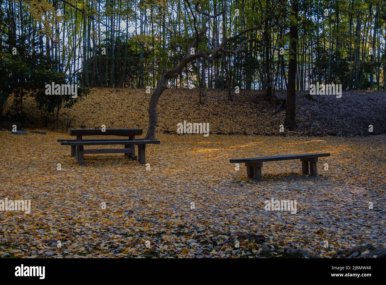 Tavolo da picnic e panca al giardino di Koraku-en, Kita Okayama, Honshu, Giappone Foto Stock