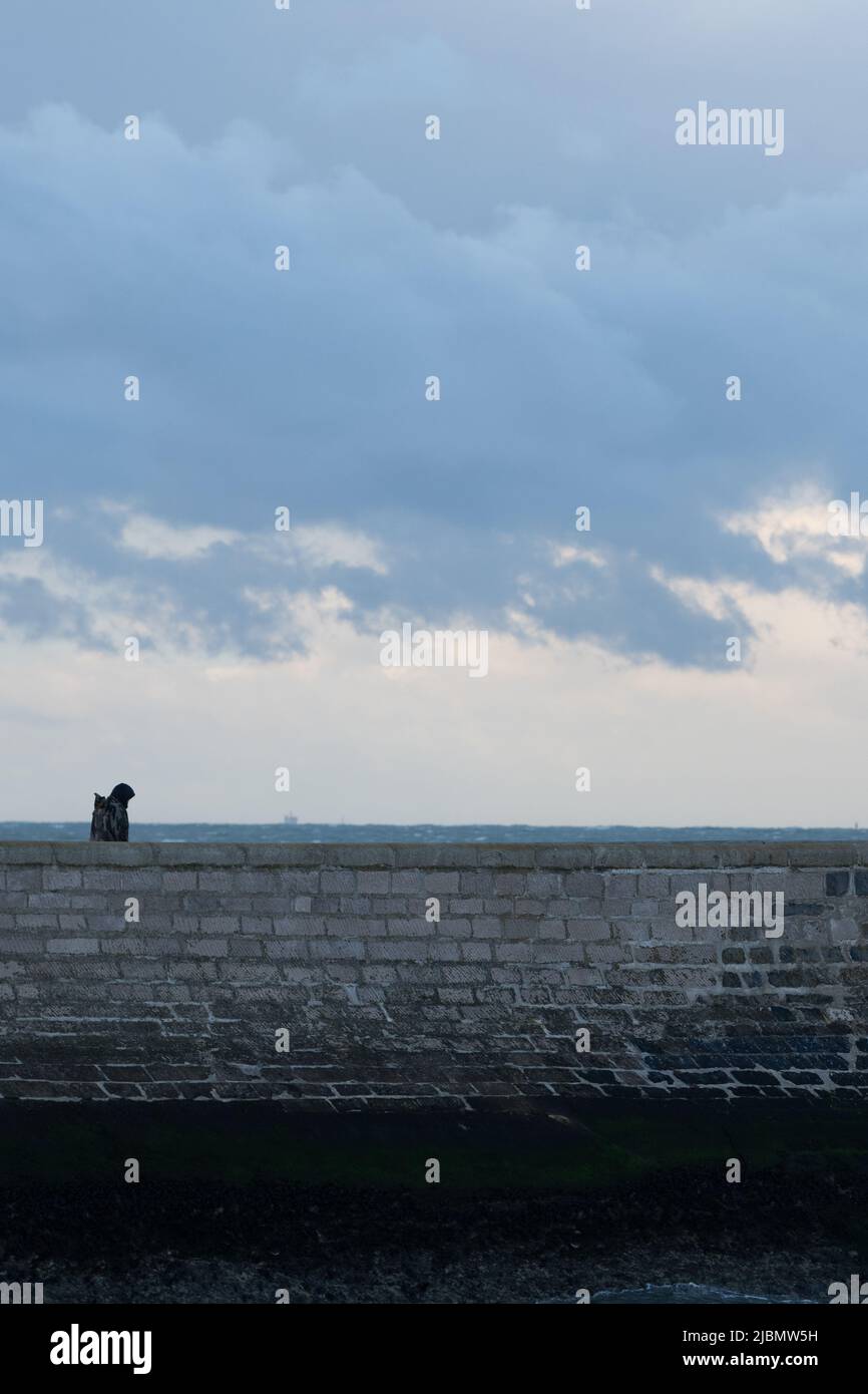 Uomo solitario che cammina dietro un muro di pietra Foto Stock
