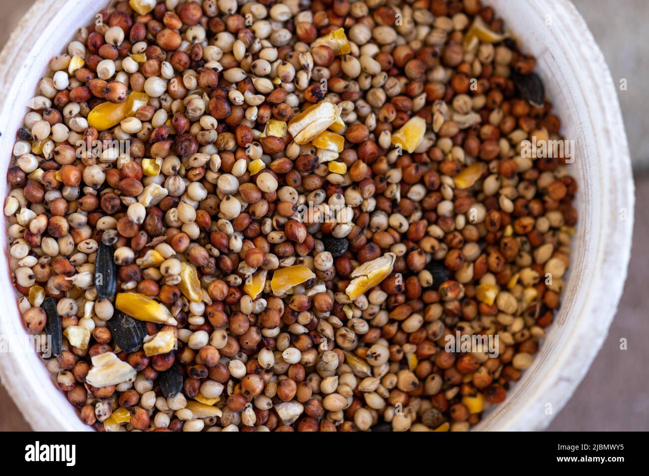 Misto di cibo per uccelli piccoli, vista dall'alto Foto Stock