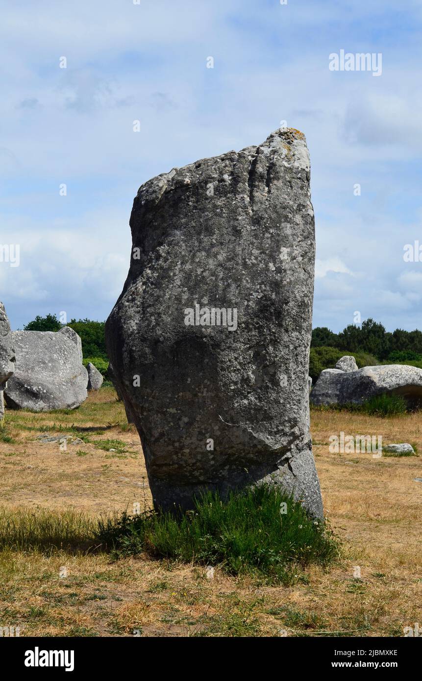 Francia, pietre megalite in Carnac Foto Stock