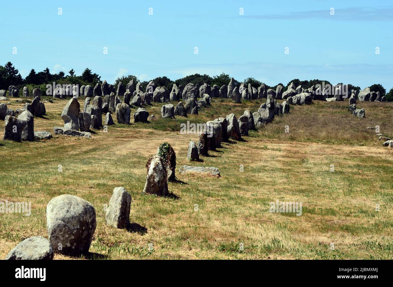 Francia, pietre megalite nel sito patrimonio mondiale dell'UNESCO di Carnac Foto Stock