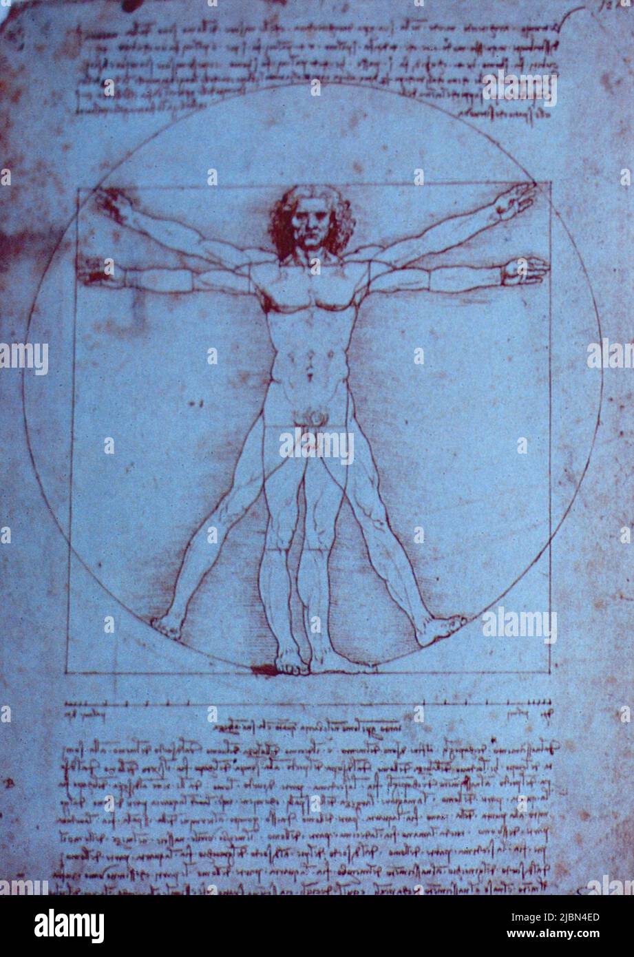 Vitruvian Man Leonardo Da Vinci Immagini E Fotografie Stock Ad Alta vitruvian-man-leonardo-da-vinci-immagini-e-fotografie-stock-ad-alta