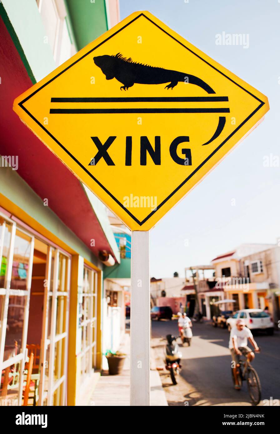 Iguana attraversare la strada segno. Isla Mujeres, Quintana Roo, Messico. Foto Stock