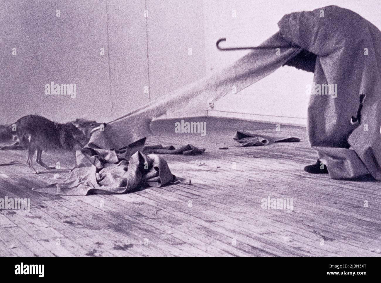 Mi piace l'America e l'America mi piace, opera dell'artista tedesco Joseph Beuys, 1974 Foto Stock