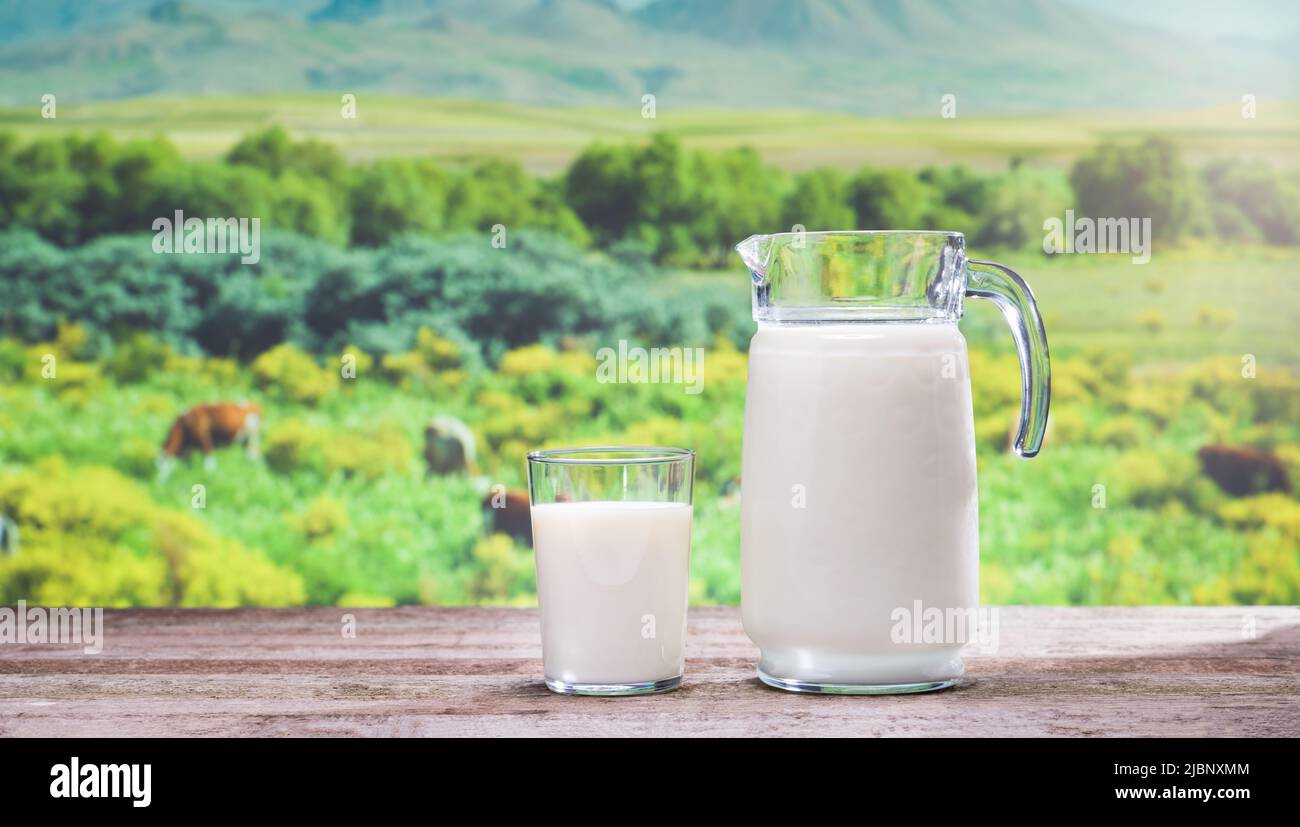 Latte fresco e primavera. Caraffa di vetro e bicchiere di latte biologico su tavola di legno. Mucche nel prato in background. Concetto di cibo sano. Foto Stock